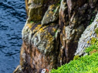 Sceilg Mhichíl / Skellig Michael